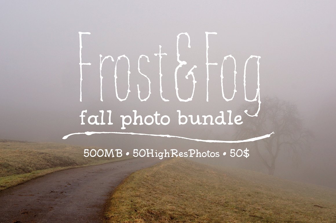 迷雾森林Frost-amp;Fog Photo Bundle