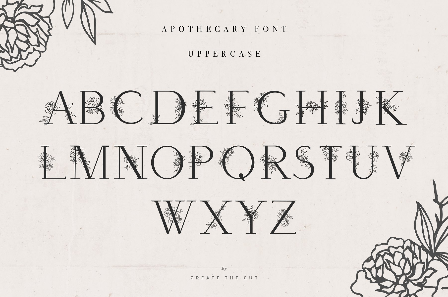 植物展示字体Apothecary Display Font