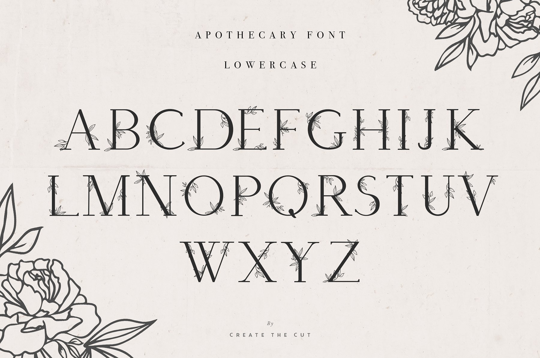 植物展示字体Apothecary Display Font