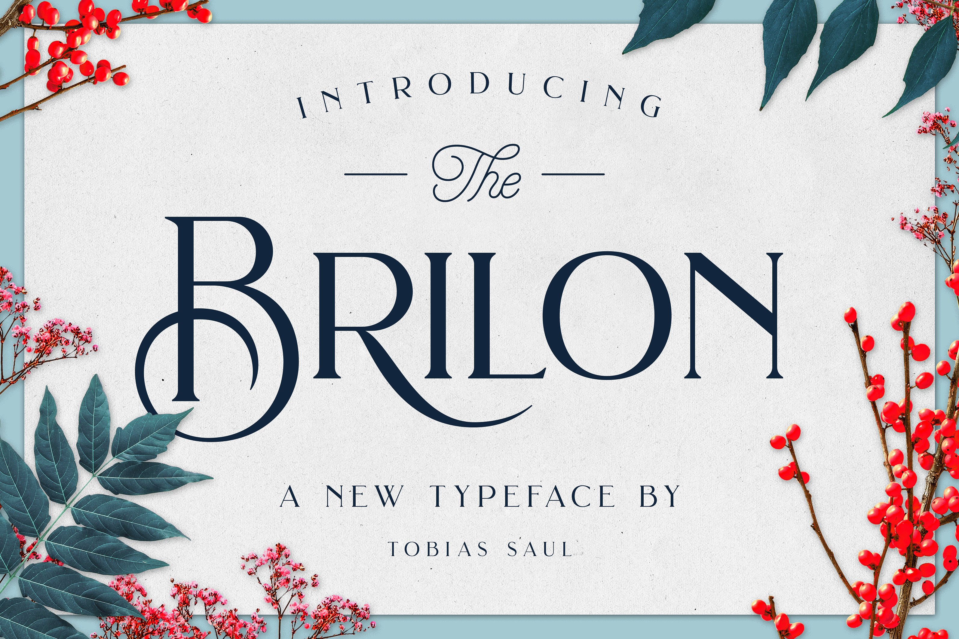 优雅的衬线字体Brilon Font Extras #1