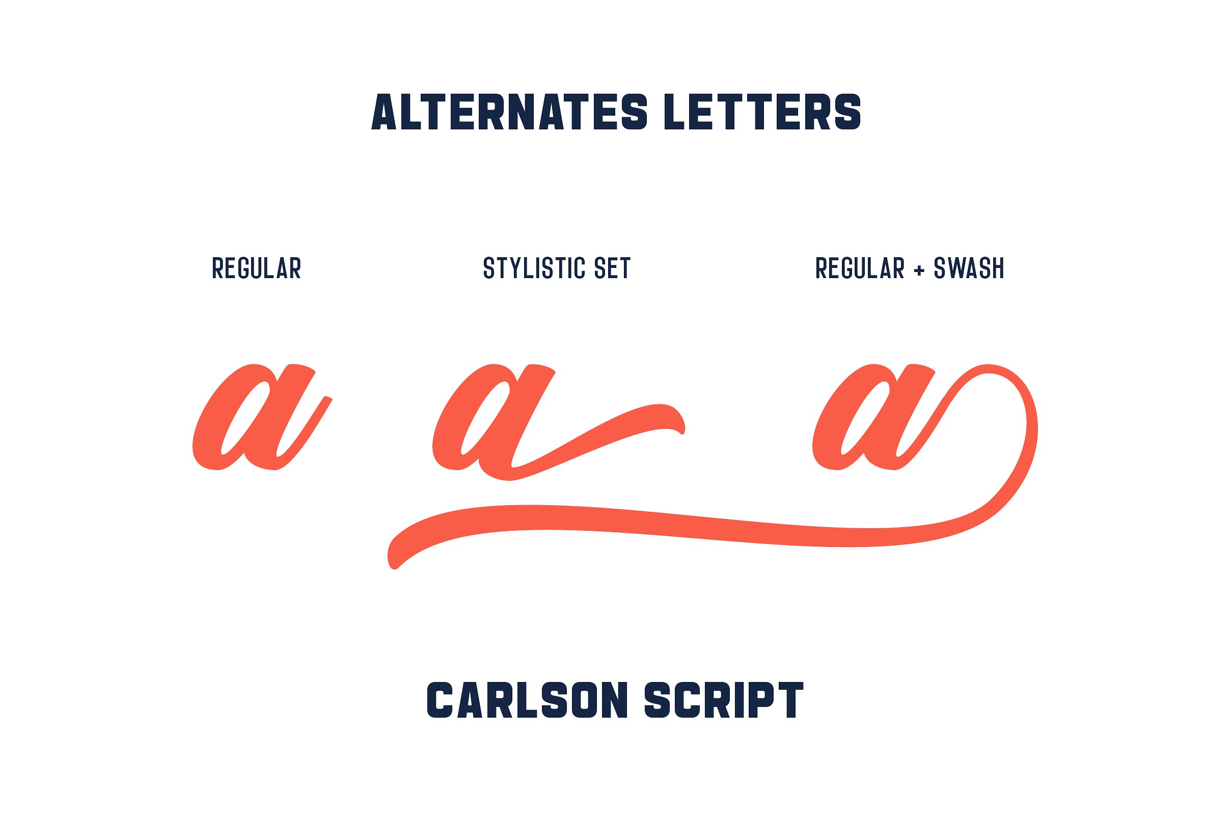 脚本无衬线字体Carlson | 3 Font Combin