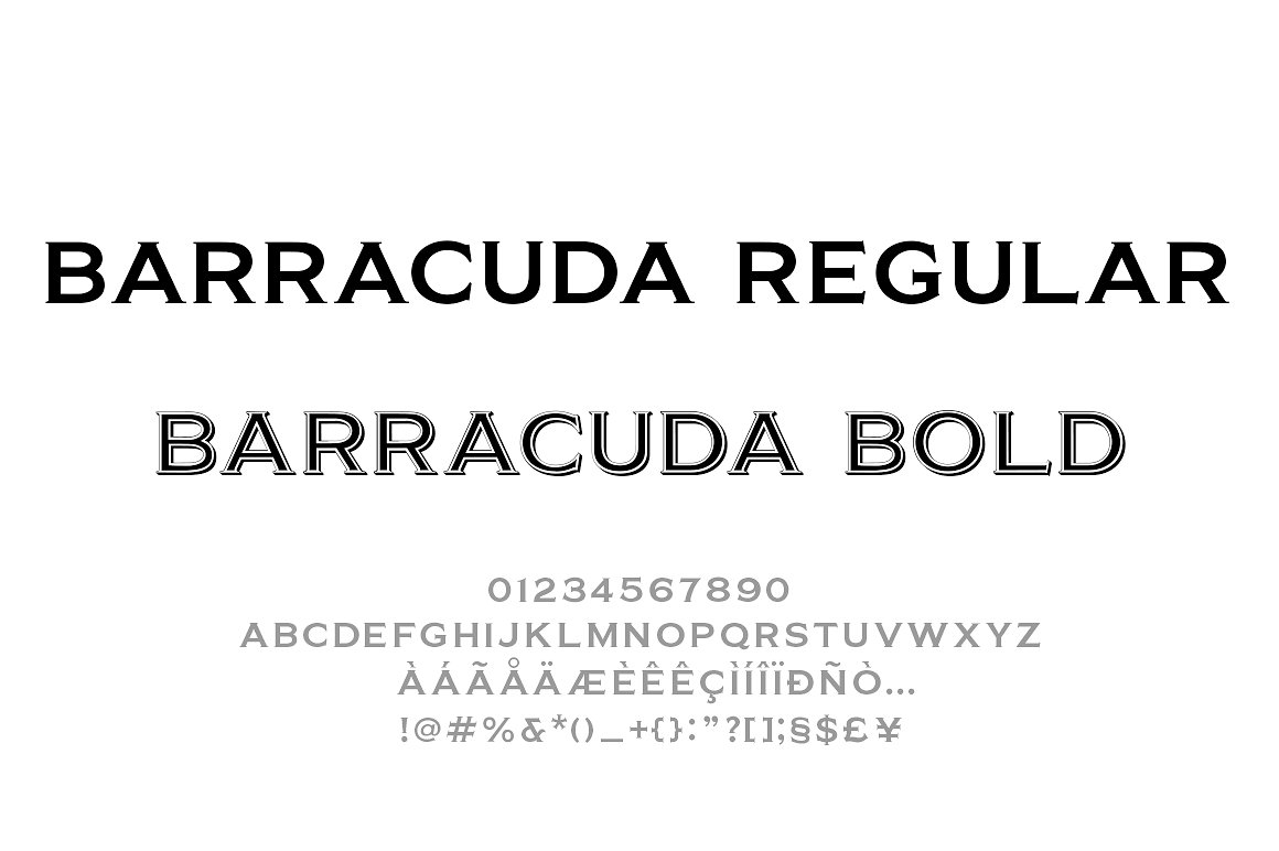 优雅独特字体Barracuda Display Copper