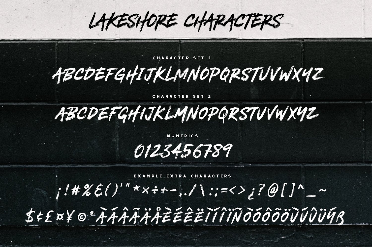 现代手绘字体Lakeshore Brush Font #14