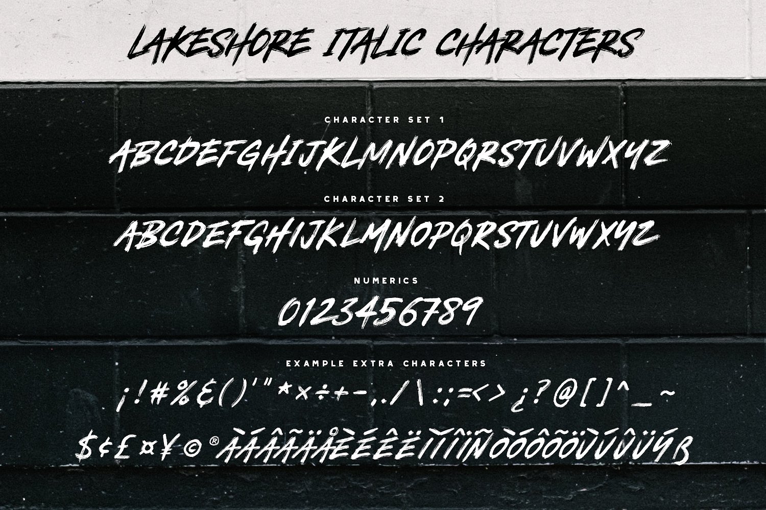 现代手绘字体Lakeshore Brush Font #14
