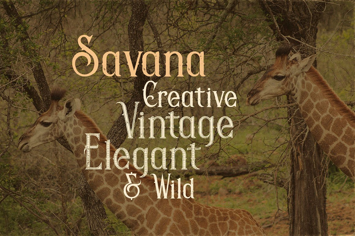 独特复古风格英文字体Savana - Display Fon