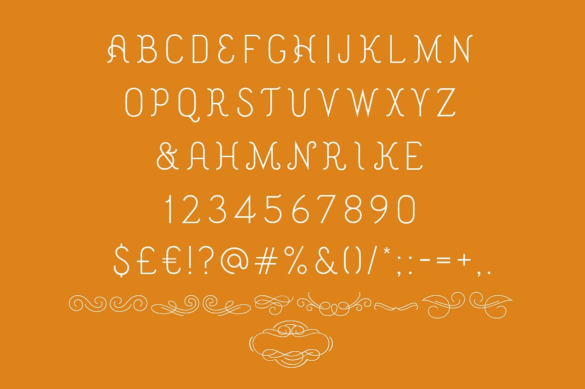 奥斯汀显示字体Austen Display Font #33