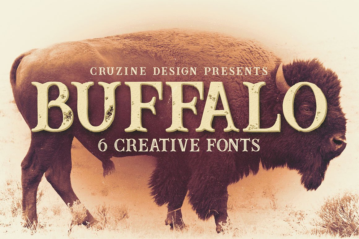 高级野牛封面Buffalo Typeface #175477