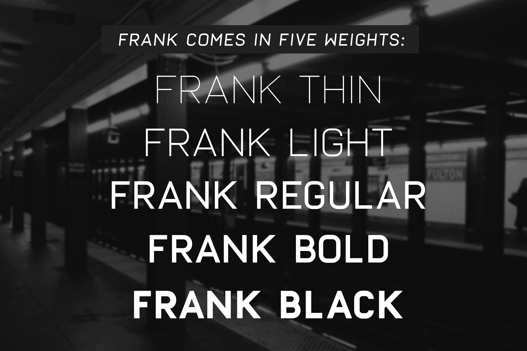 高端动物封面Frank - Display sans wit