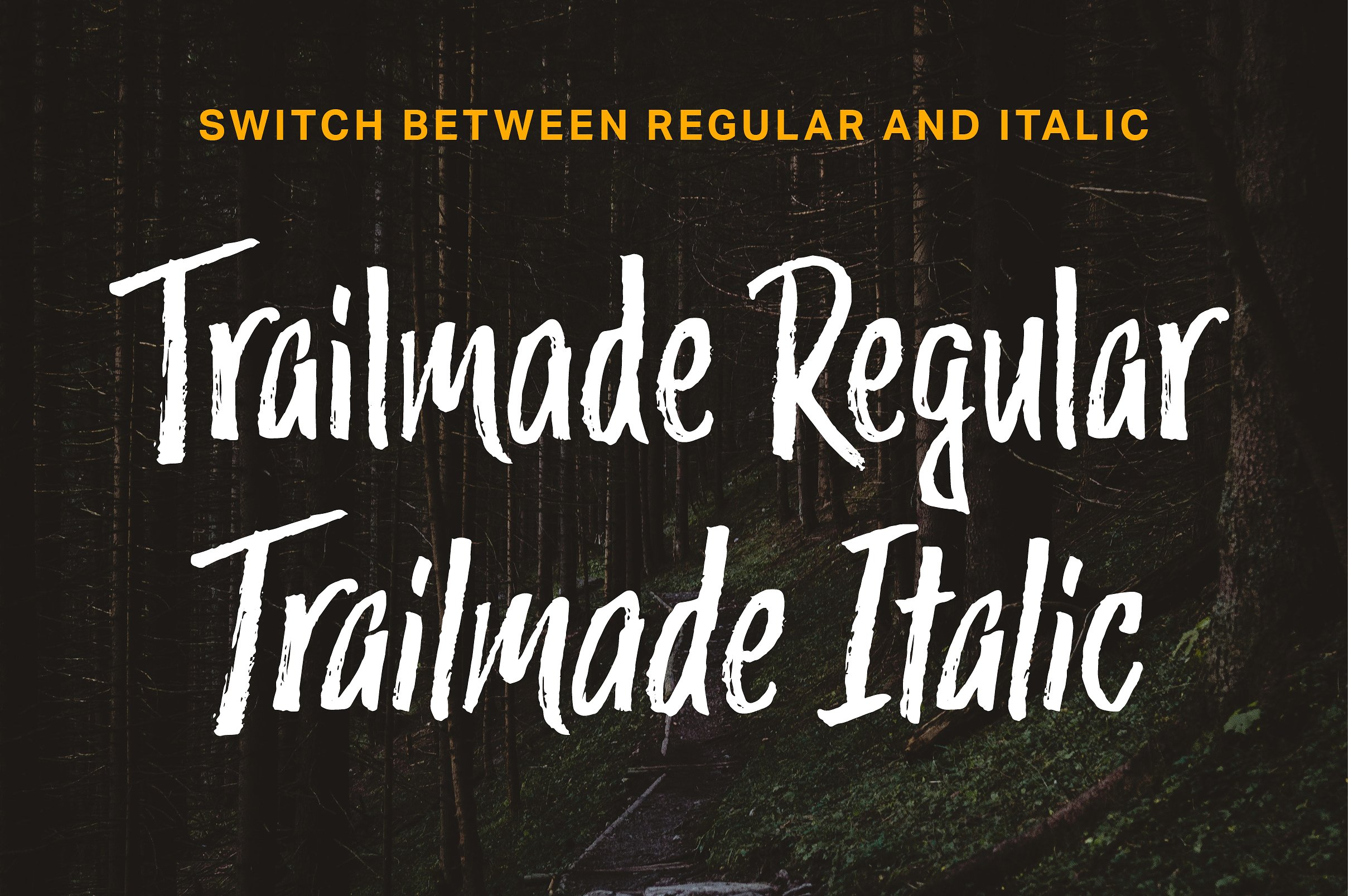 树林风景背景Trailmade Font Family #1