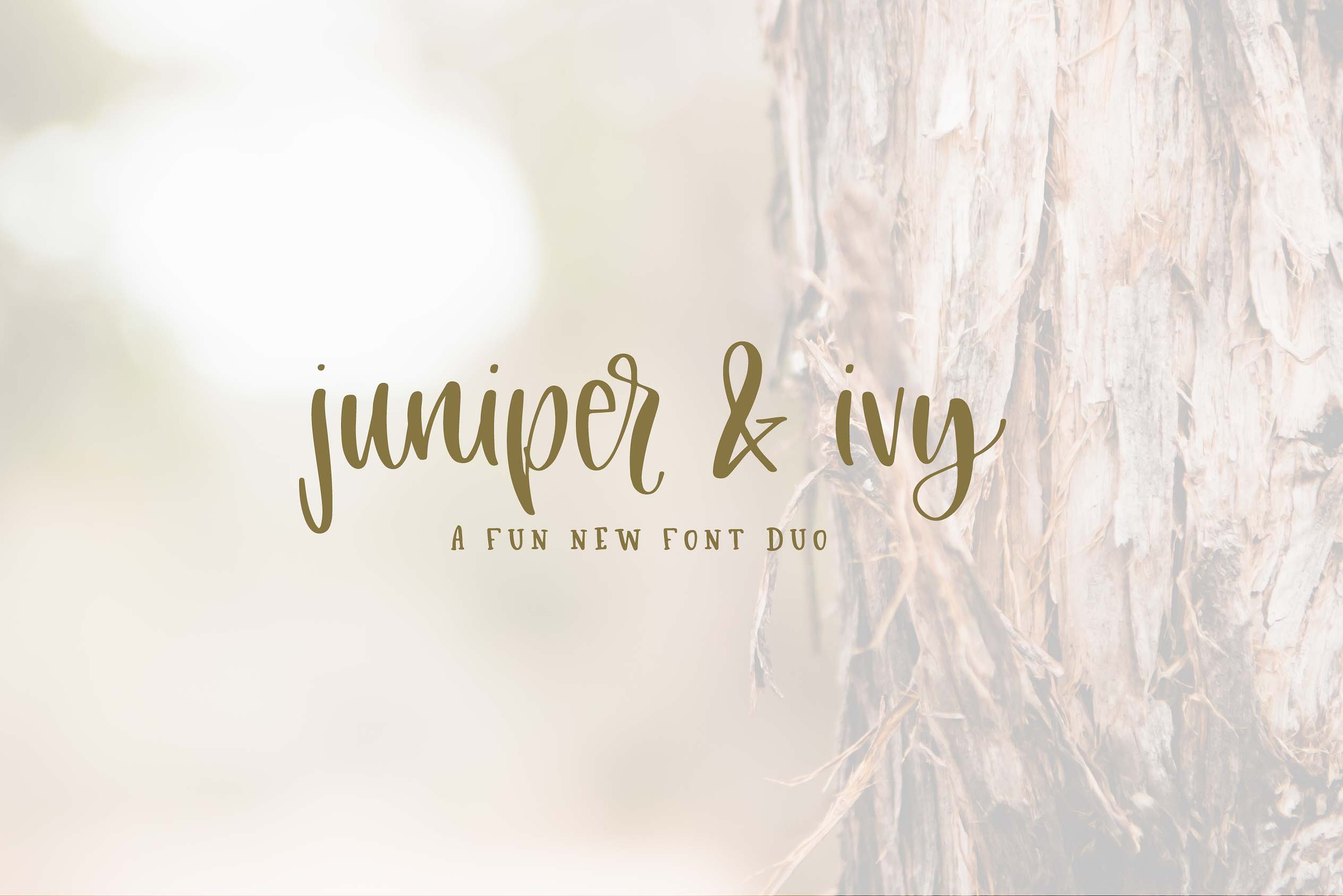 清新高级白色封面Juniper Ivy Font Duo