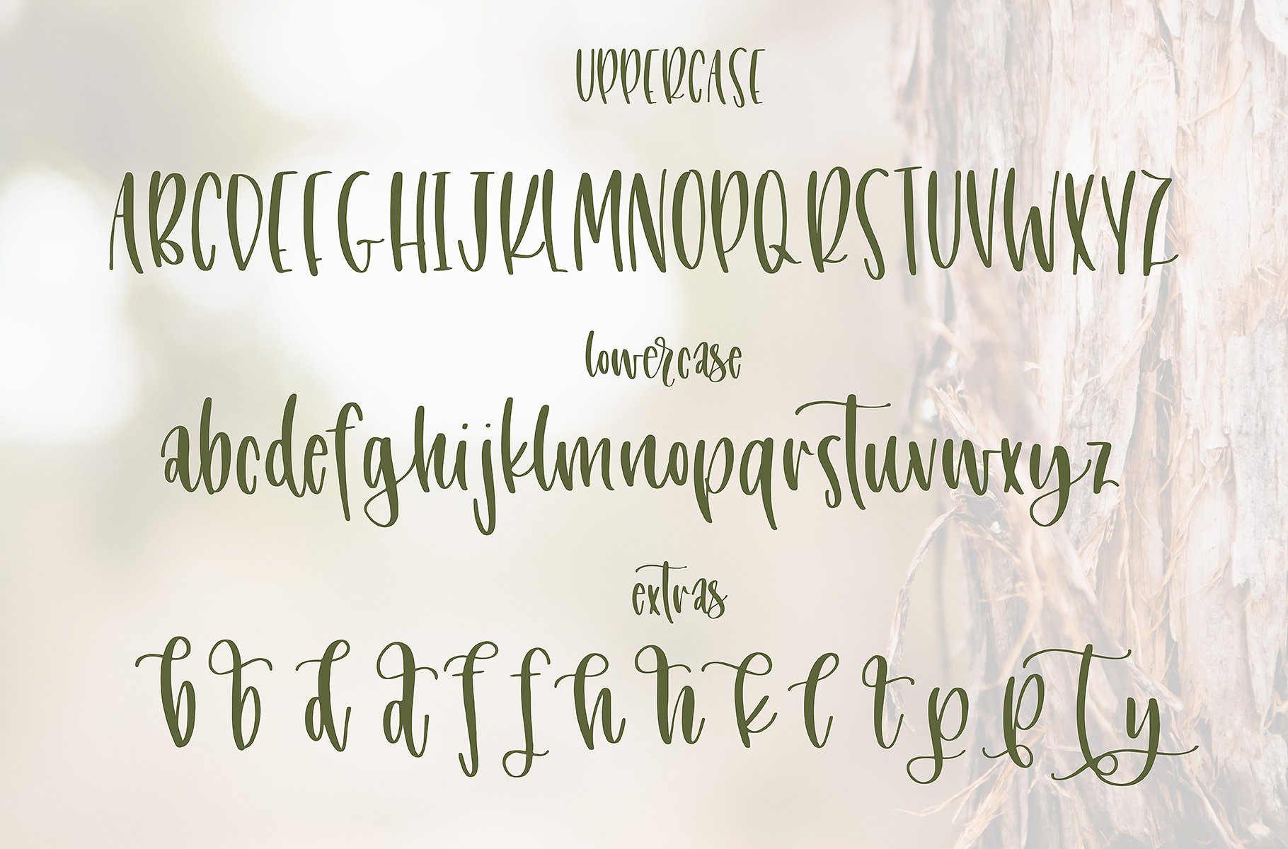 清新高级白色封面Juniper Ivy Font Duo