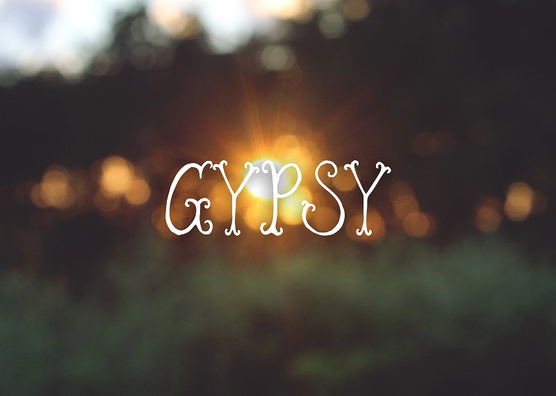 清新花卉封面Gypsy #65059