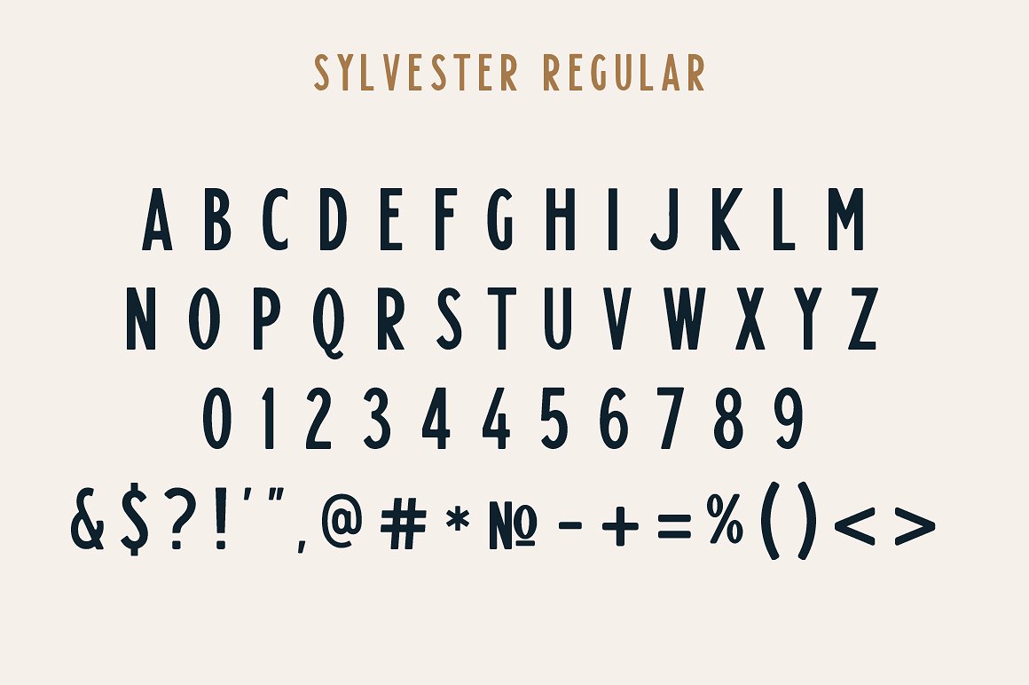 简约英文封面Sylvester Typeface #1166