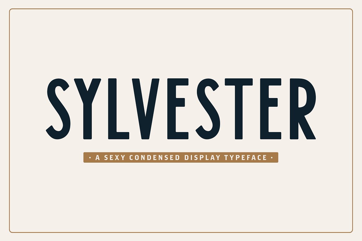 简约英文封面Sylvester Typeface #1166