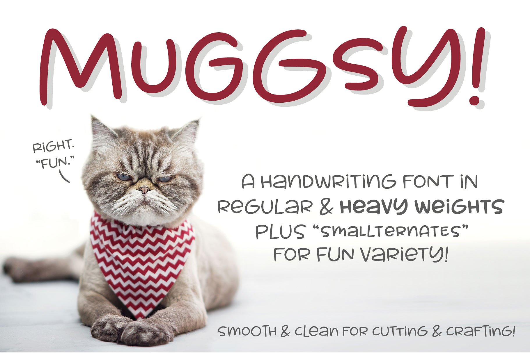 白色猫字母Muggsy: a short stout fun