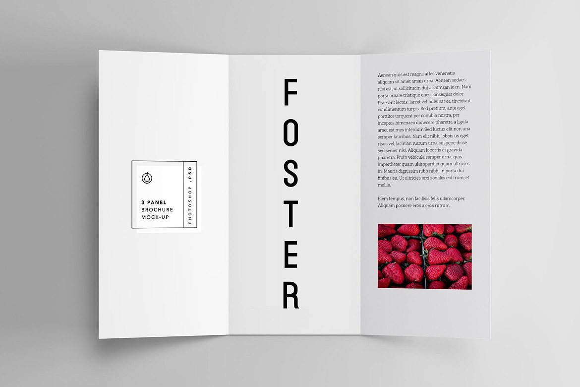 高级艺术字体FOSTER - Amazing Display