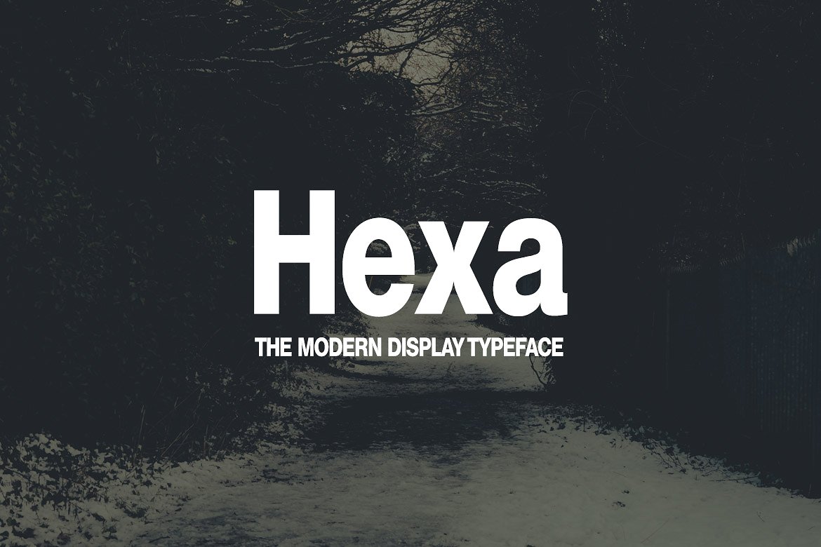 高级黑色字体HEXA - Modern Display Ty