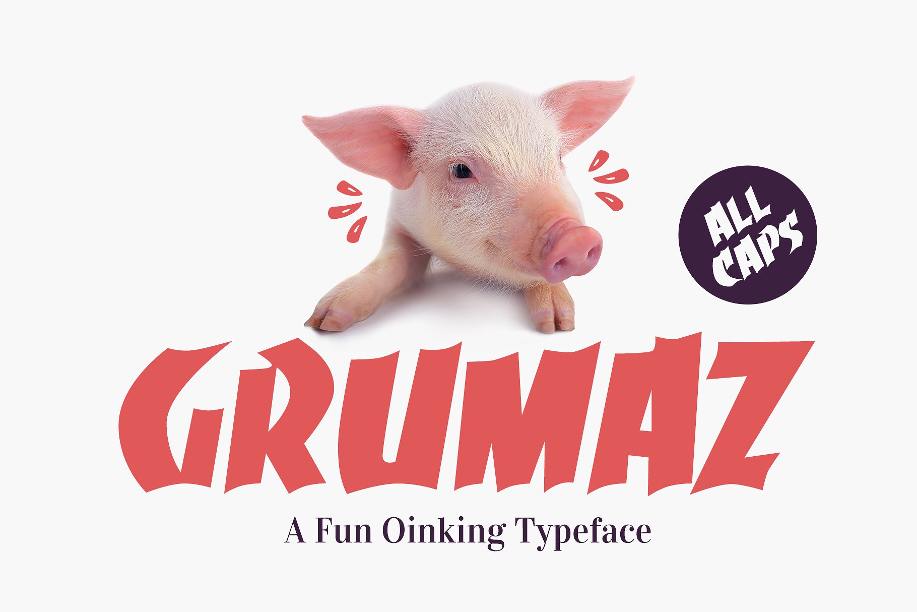 英文汉堡封面Grumaz - A Fun Oinking D