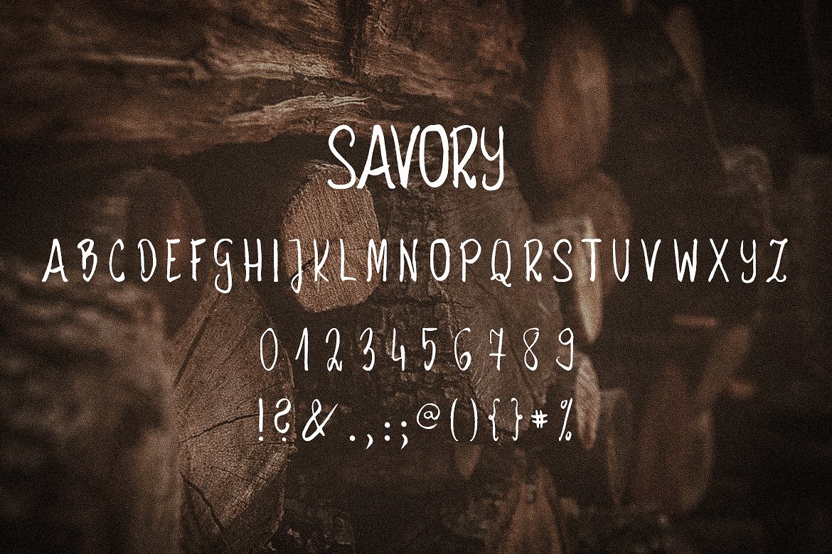 复古字体Savory #1360366