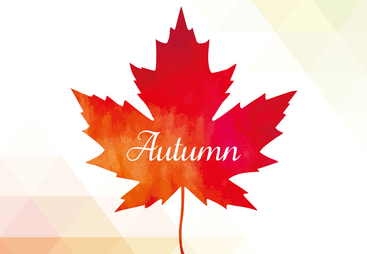 秋天的叶子枫叶红叶秋季几何元素背景矢量设计素材Autumn