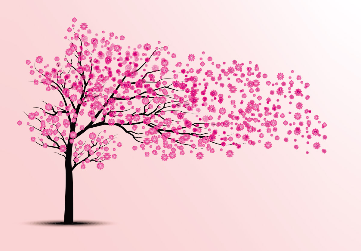 粉色樱桃树樱花花瓣飘落创意卡通矢量插图绘画设计素材Cherr