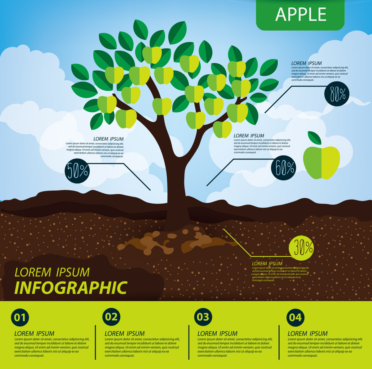 苹果树信息图形水果矢量插图绘画设计素材Apple infog