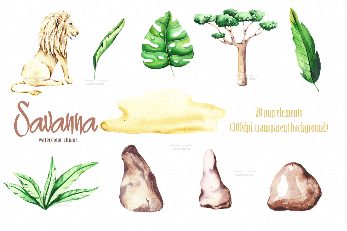稀有热带动植物剪贴图插画素材合集包 Savanna anim