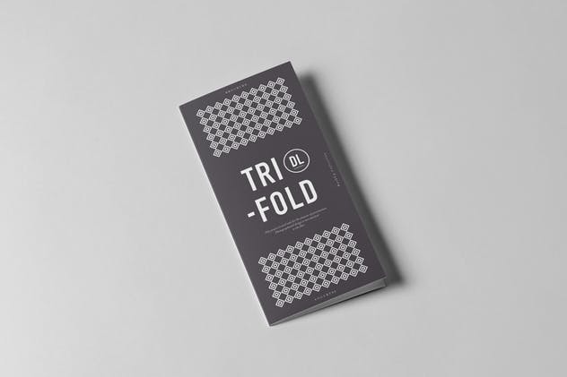 三折传单小册子样机模板 Tri-Fold DL Brochu