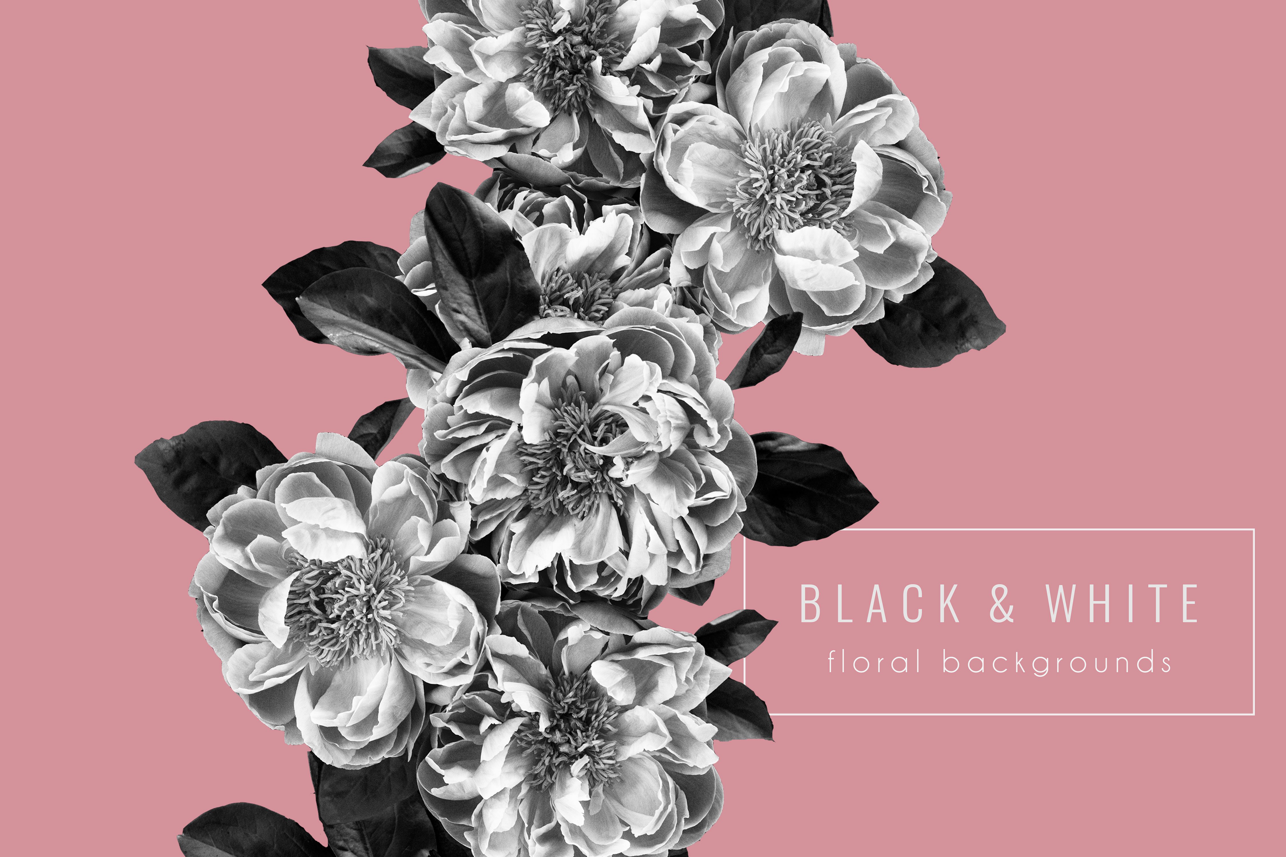 黑色背景花卉场景样机 Floral Background P