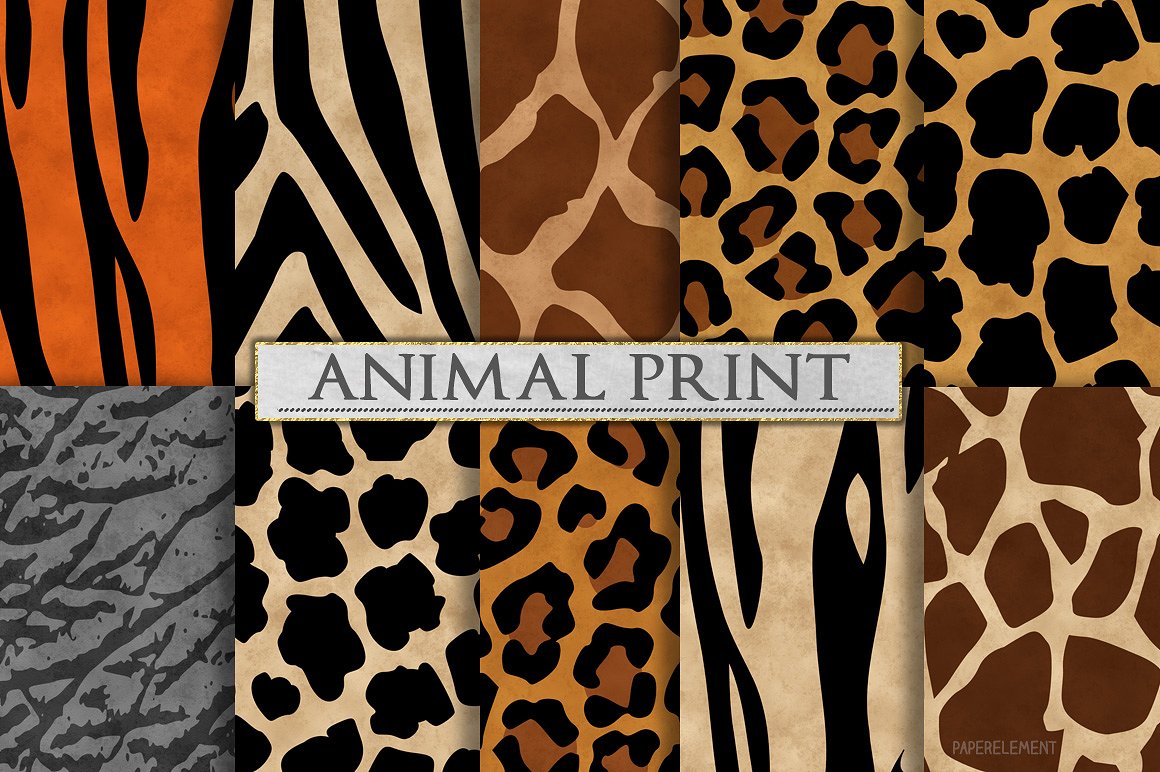 动物斑点花纹创意素材 Zebra Print #402313
