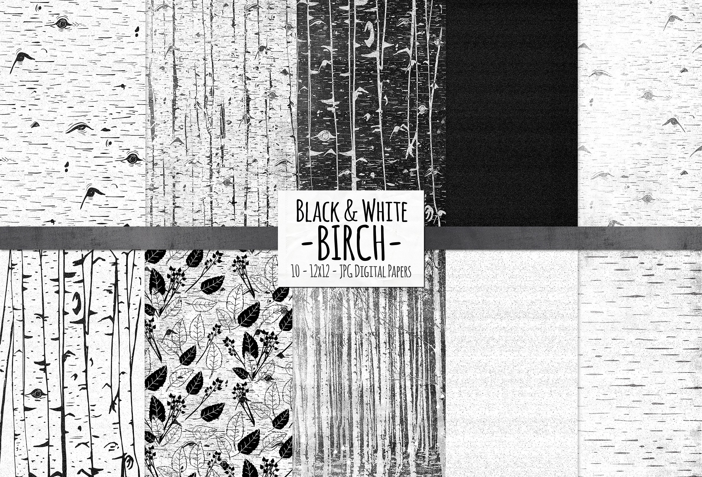 黑色白桦树纹理设计背景Birch Black -amp; W