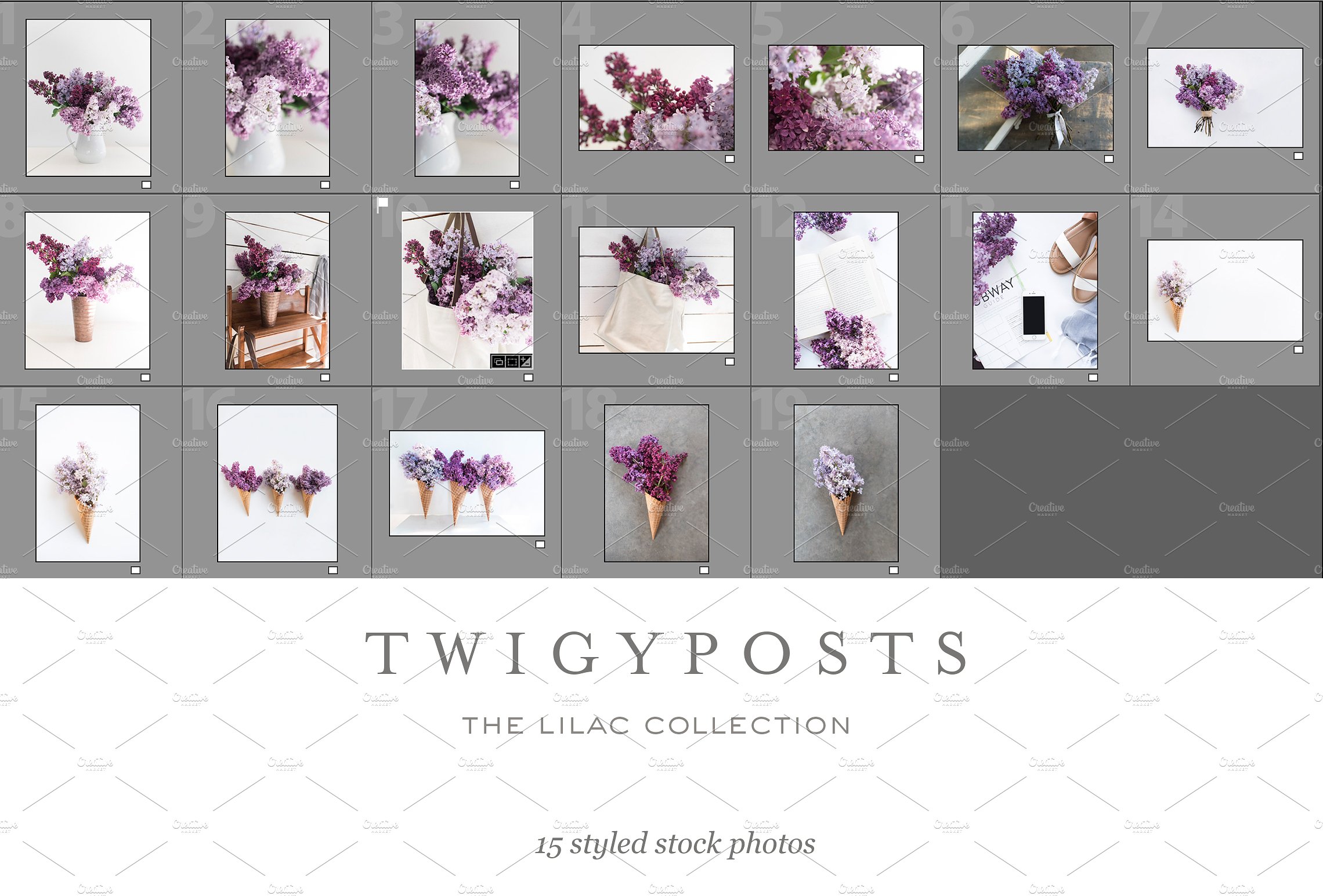 花卉配图场景样机模板 Lilac Styled Stock