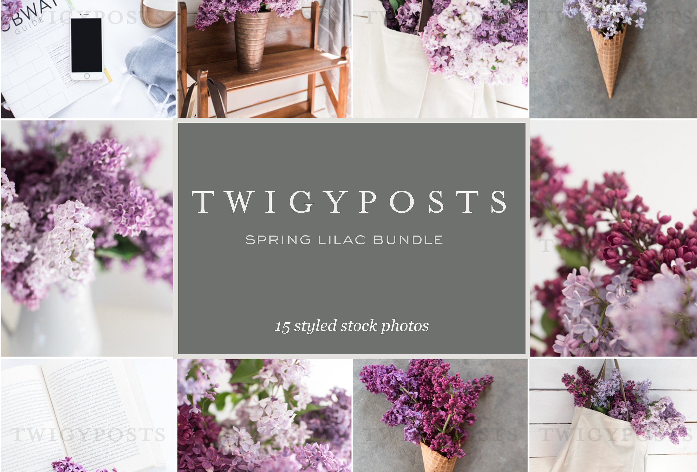 花卉配图场景样机模板 Lilac Styled Stock