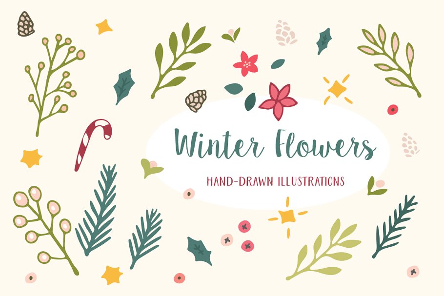 冬天风格的圣诞花卉图形背景纹理素材 Winter Flowe