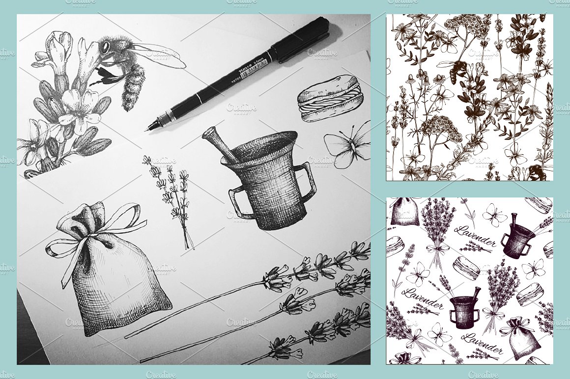 10种手绘草药和植物图案 10 Herbs & Bu