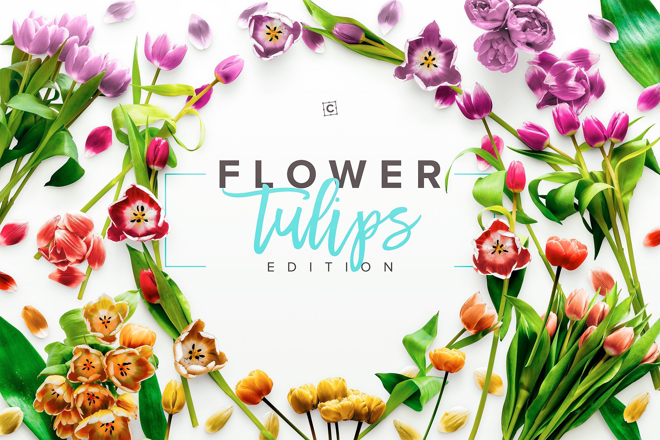 郁金香花卉场景样机 Flower Tulips Editio