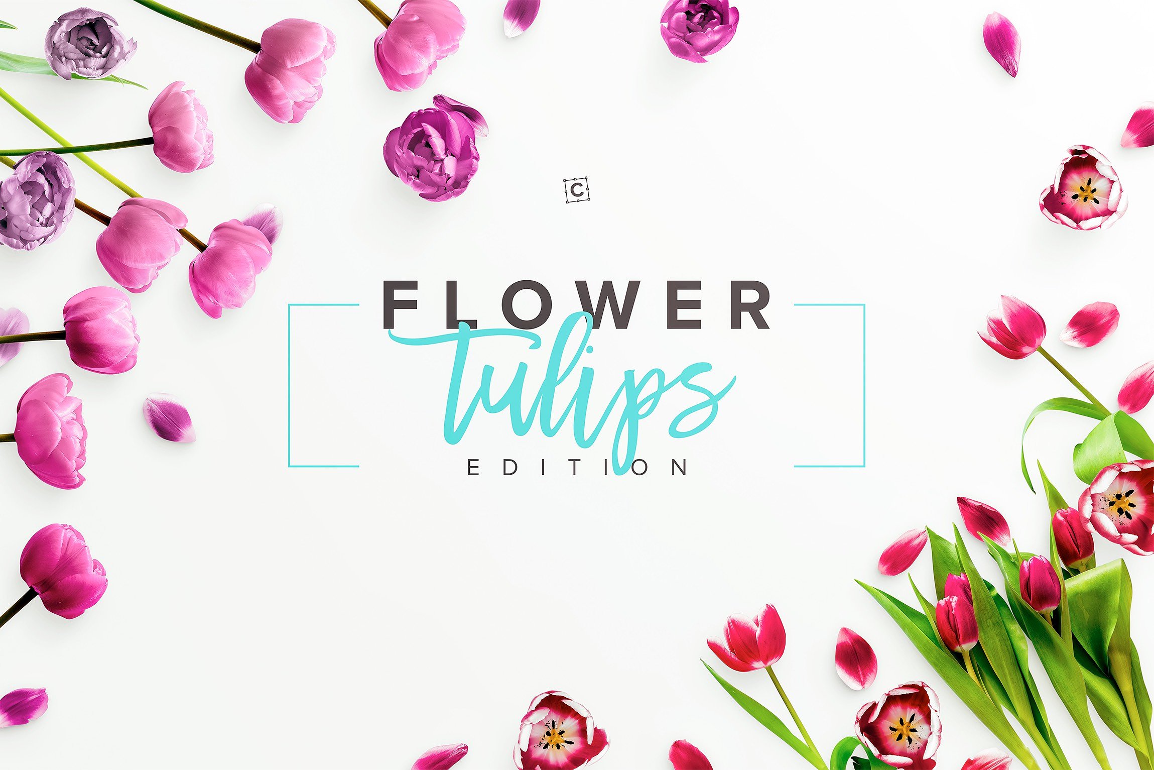 郁金香花卉场景样机 Flower Tulips Editio