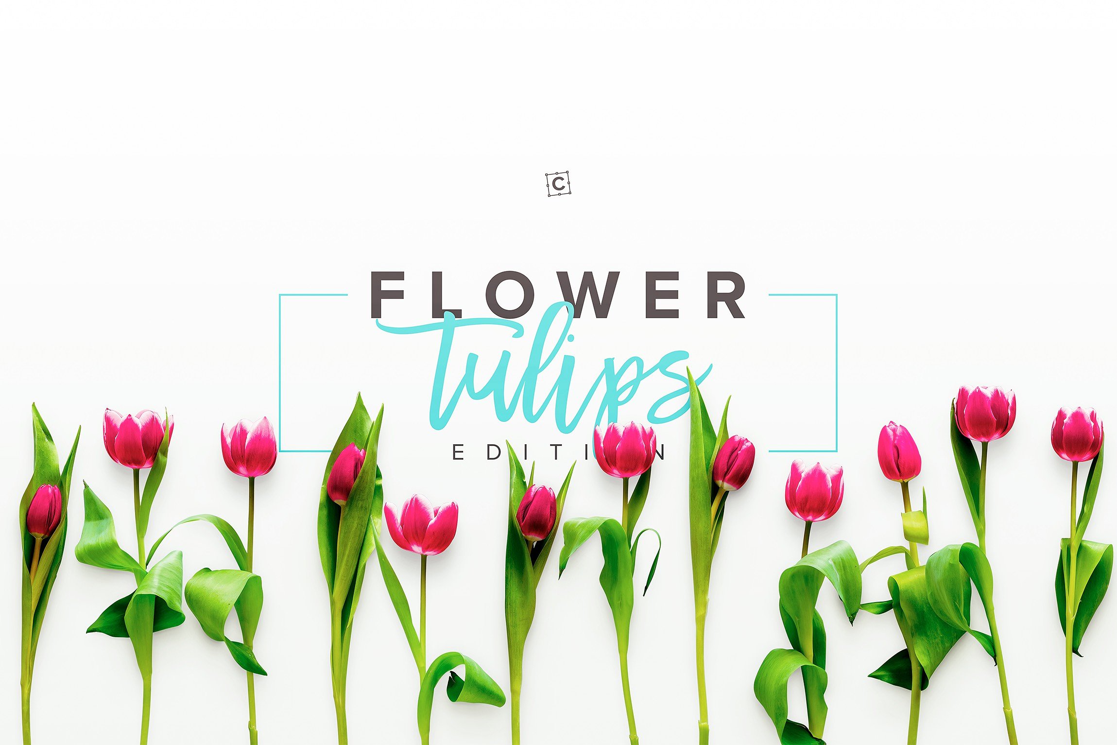 郁金香花卉场景样机 Flower Tulips Editio