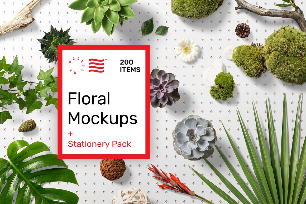 花卉绿植主题相关的设计样机素材包Floral_Mockups