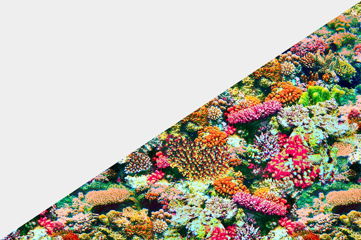 澳大利亚大堡礁珊瑚礁个性时尚纹理背景底纹大集合the-gre