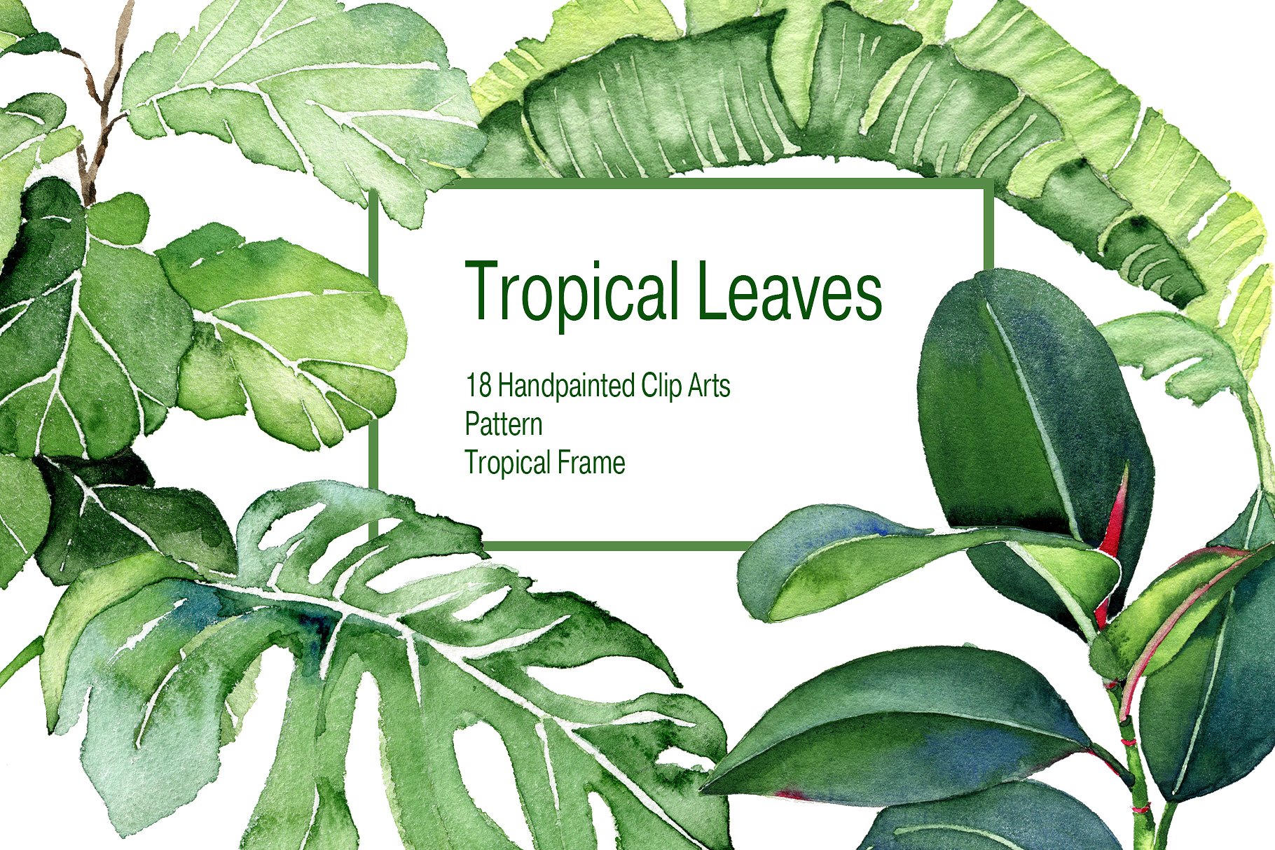 水彩热带手绘植物设计素材 Tropical_Leaves_W