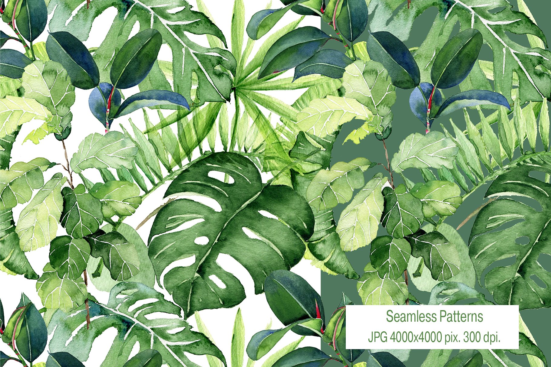 水彩热带手绘植物设计素材 Tropical_Leaves_W