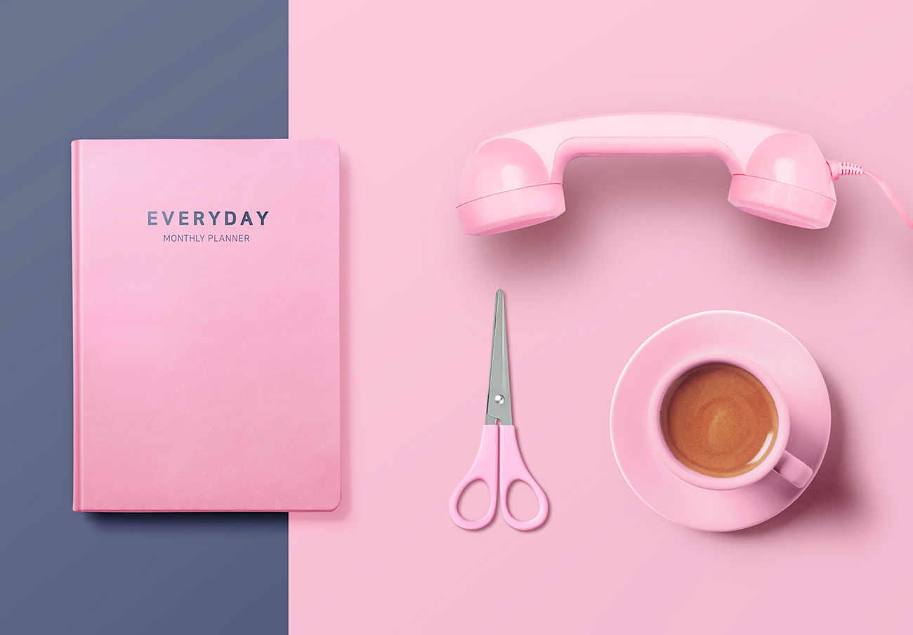 2019年最新粉红色品牌VI场景海报设计元素【话筒、笔记本、