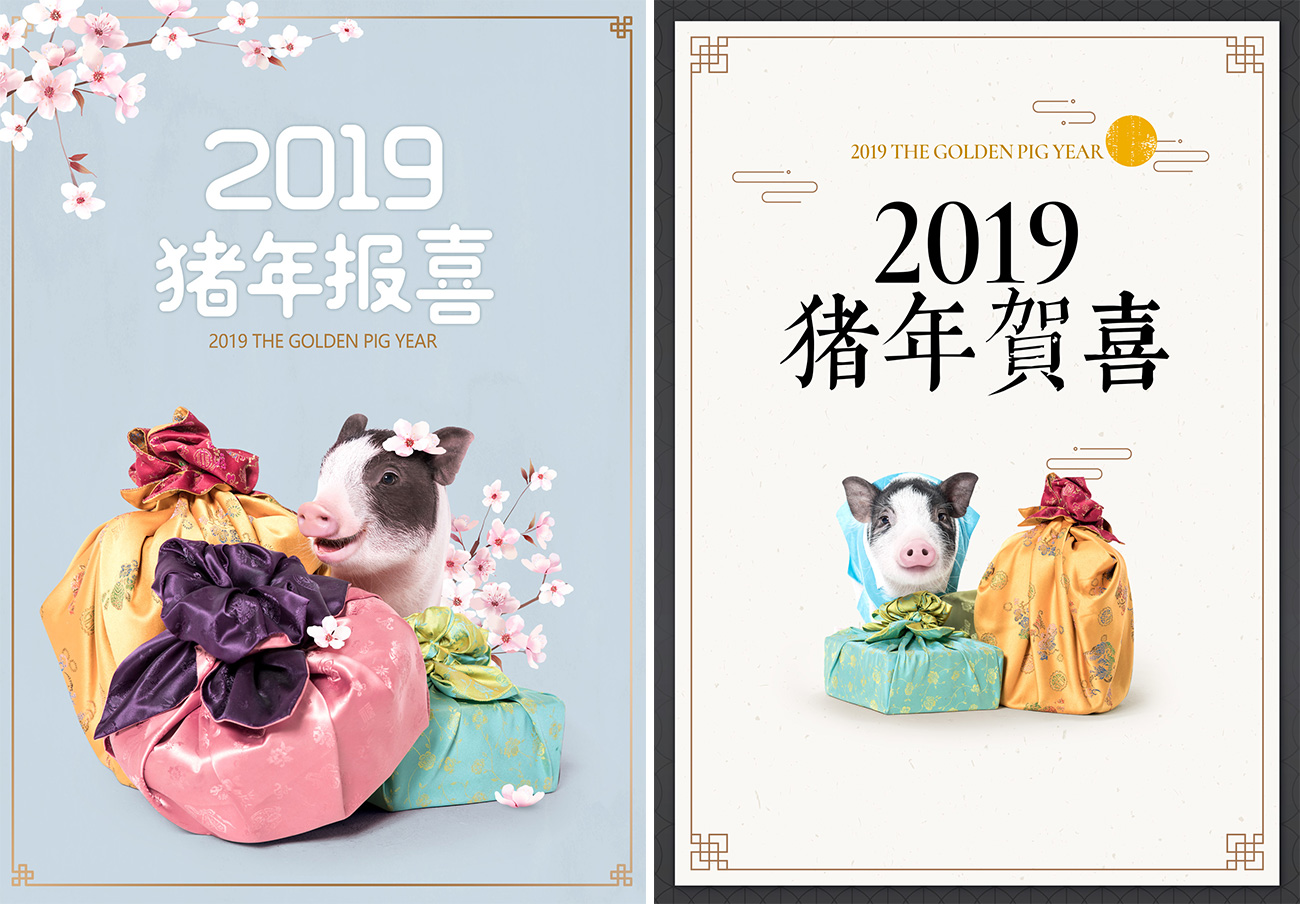 2019年金猪贺喜主题海报PSD模版素材