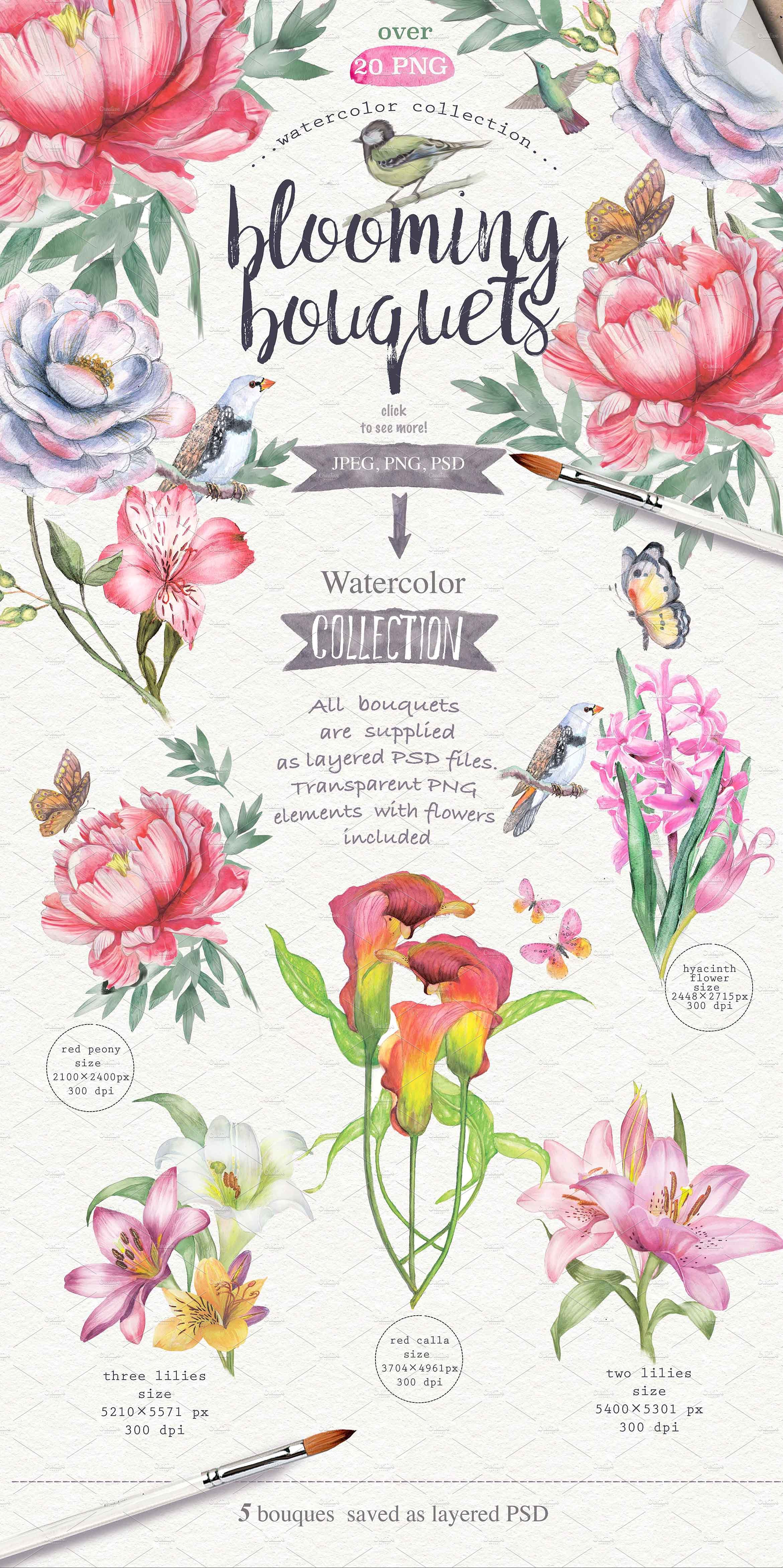 手绘水彩花卉植物设计素材Wildflowers pack 7