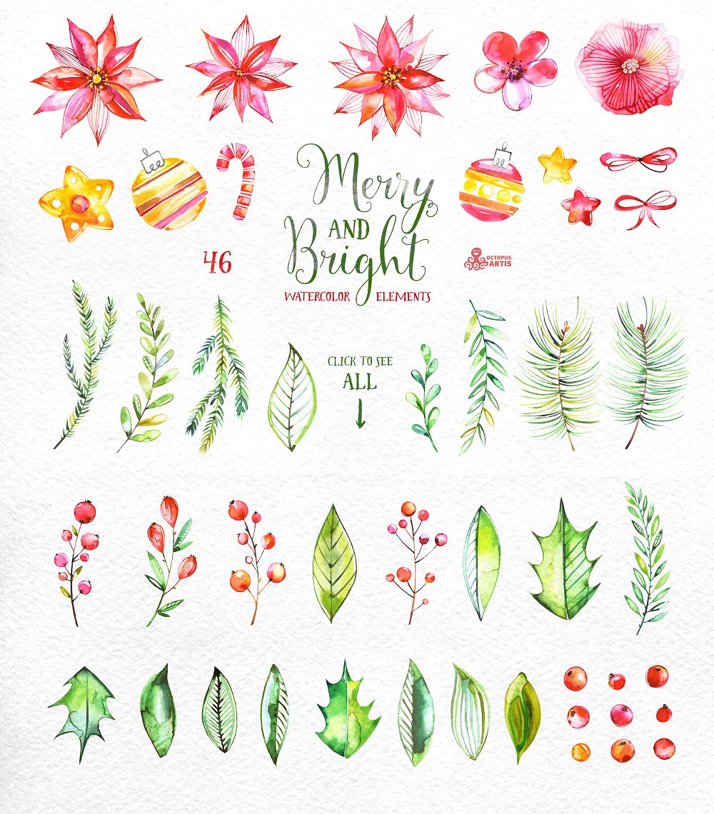 欢快明亮水彩花卉插画 Merry And Bright. W