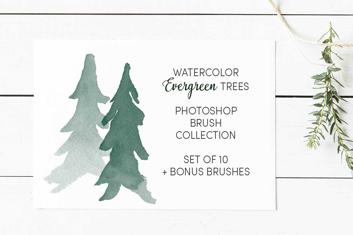 13个水彩常绿树(圣诞松树)笔刷集合Watercolor_E