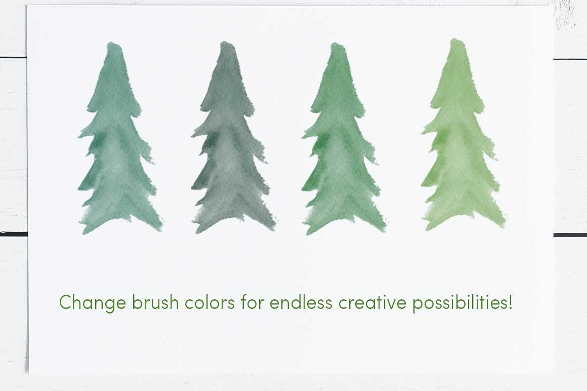 13个水彩常绿树(圣诞松树)笔刷集合Watercolor_E