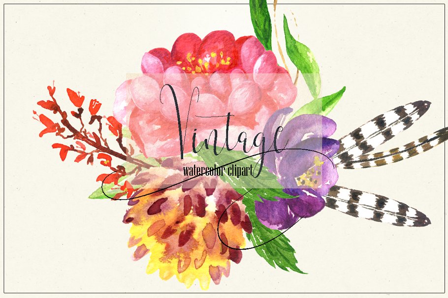 复古花卉和浆果水彩插画素材 Vintage flowers