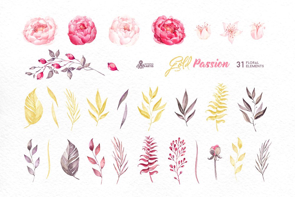 手绘水彩花卉植物设计素材Gold Passion. Flor